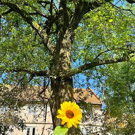 Apartment Ferienwohnung Therese Auf Schloss Weitersroda Hildburghausen